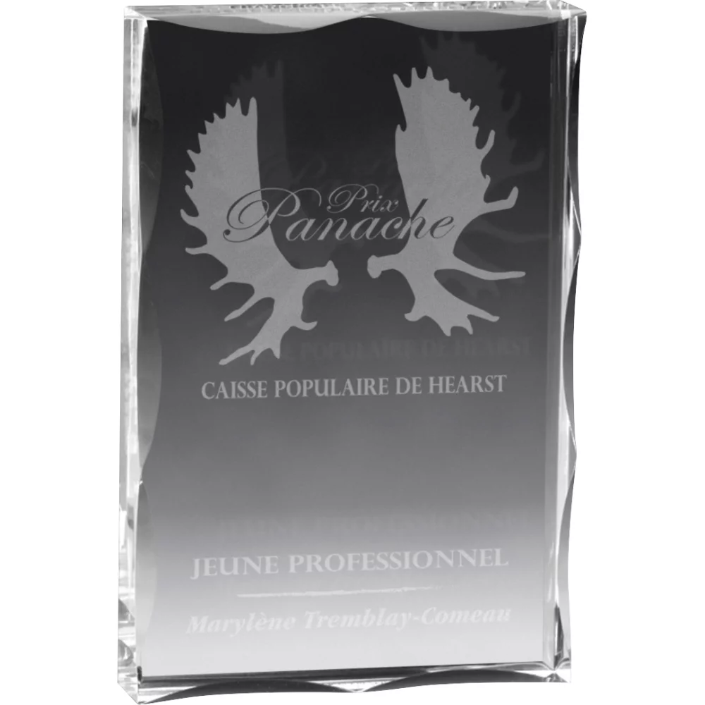 Block Award (4"x 6"x 3/4") Laser Engraved