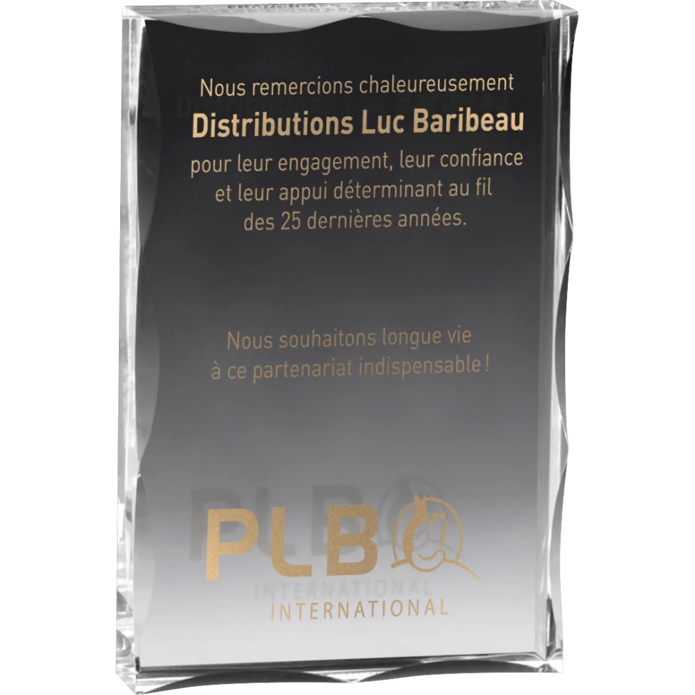 Prix de bloc clair de grande taille (4"x6"x3/4") sérigraphié