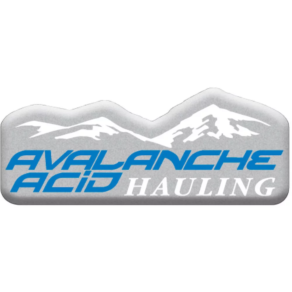 3 Sq. Inch Custom 4 Colour Process Matte Silver Polyester Domed Decal
