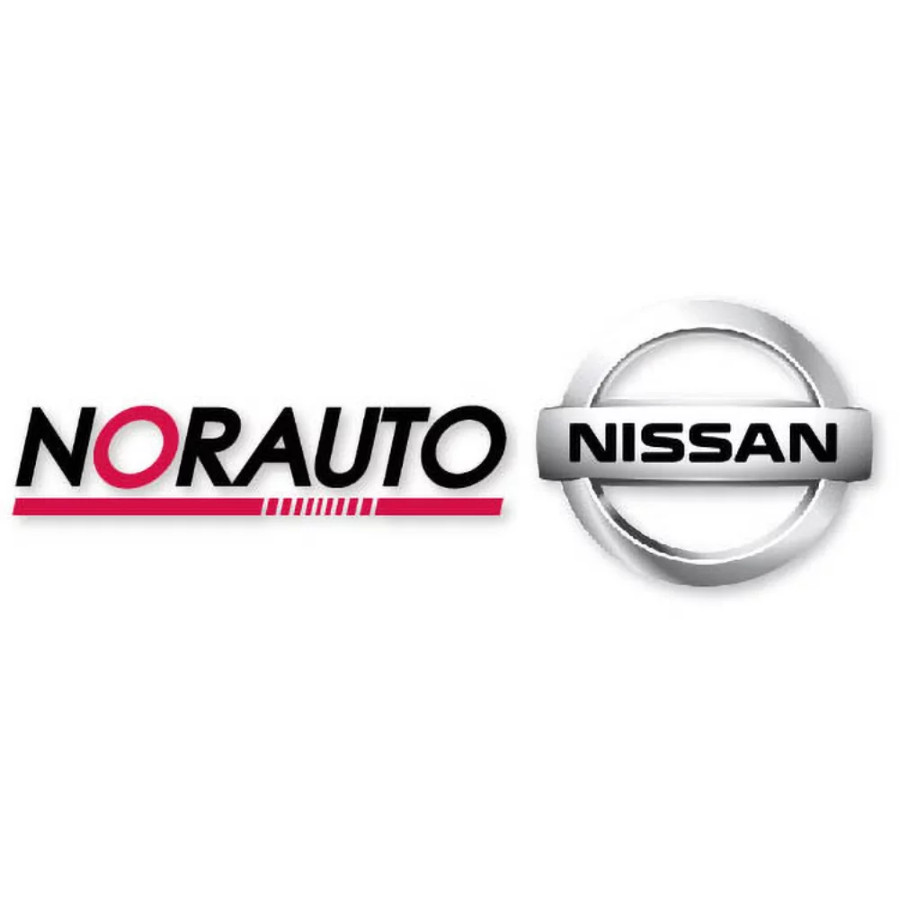 Décalcomanies de silhouette Econo .0025 vinyle calandré de 5 ans (8,1 à 12 pouces carrés) couleur complète