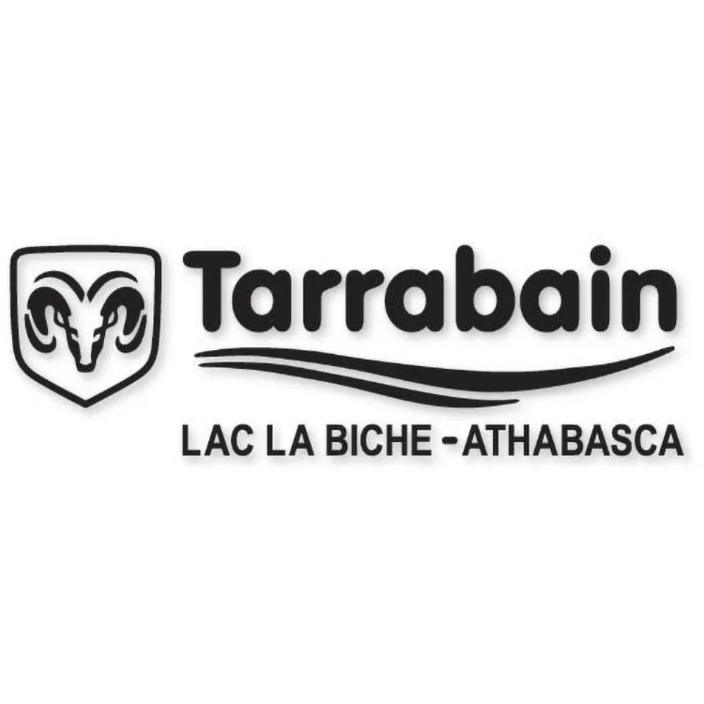 Décalcomanies Econo Silhouette .0025 en vinyle calandré 5 ans (20,1 à 25 pouces carrés) en couleur complète.