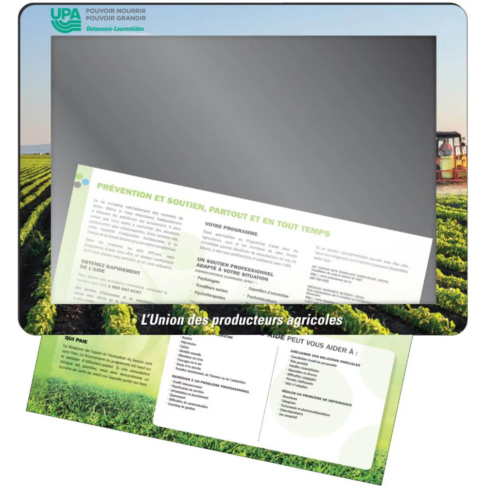 1/8" Insert Counter Mats 14" x 19" Clear Lexan Top, Rubber Back, Full Colour