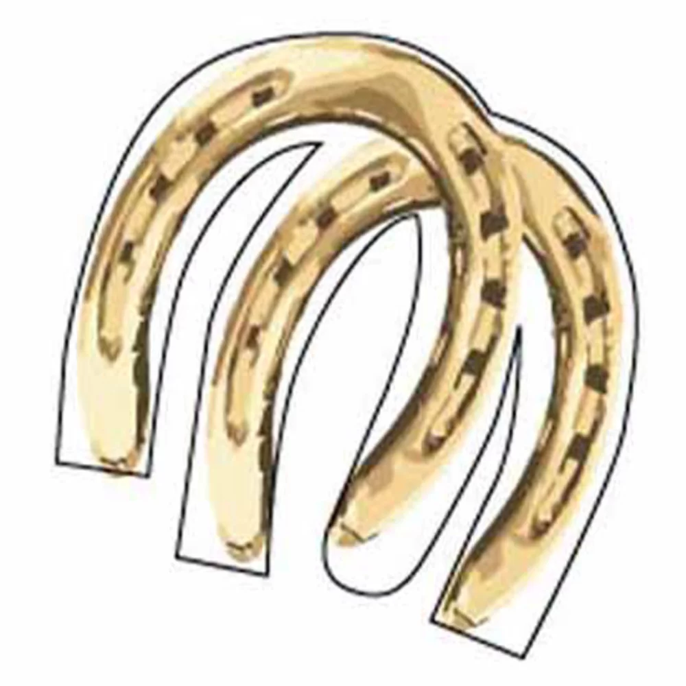 Horseshoes Shaped Hanging Air Freshener - Oversize