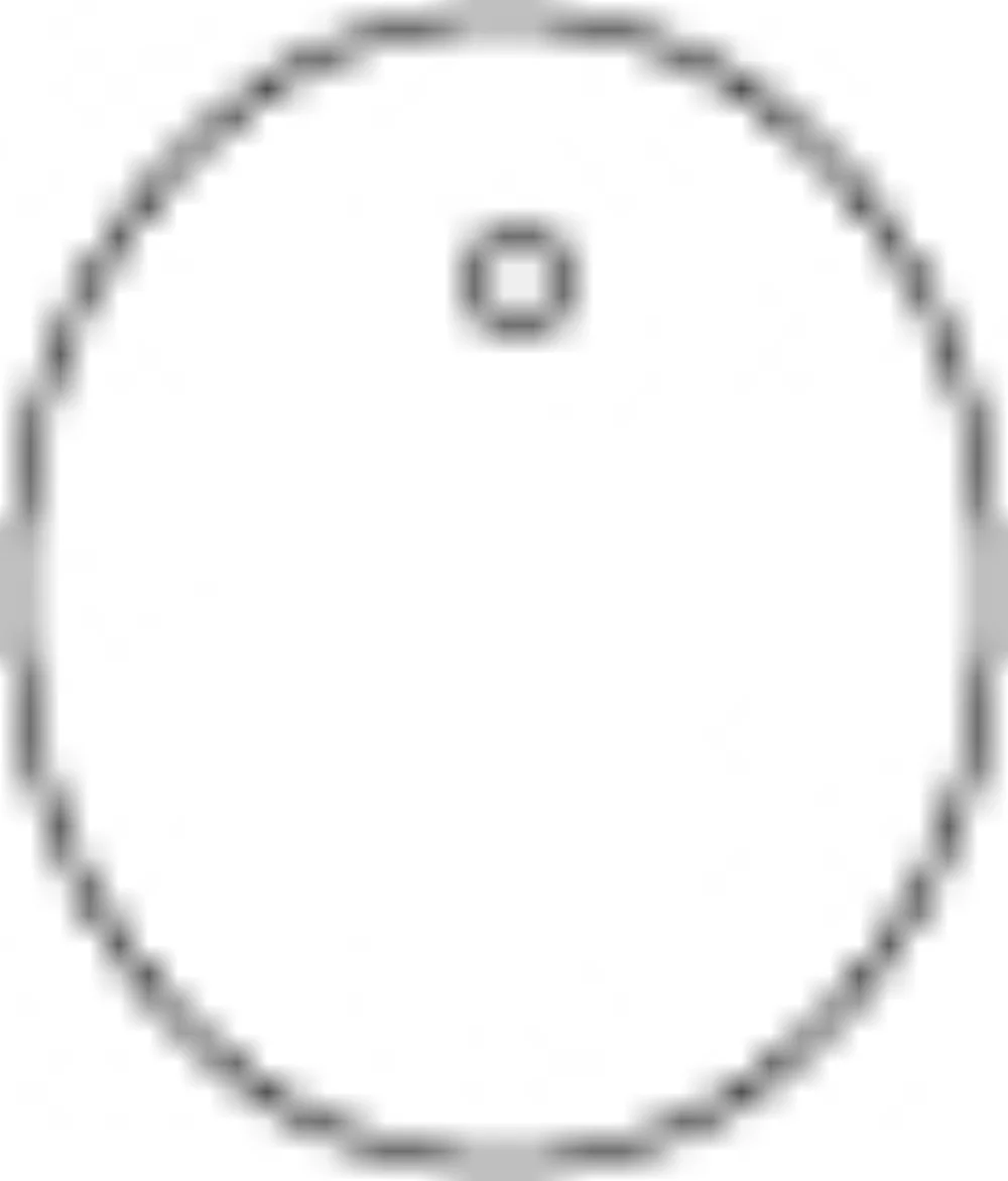 Oval Shaped Hanging Air Freshener