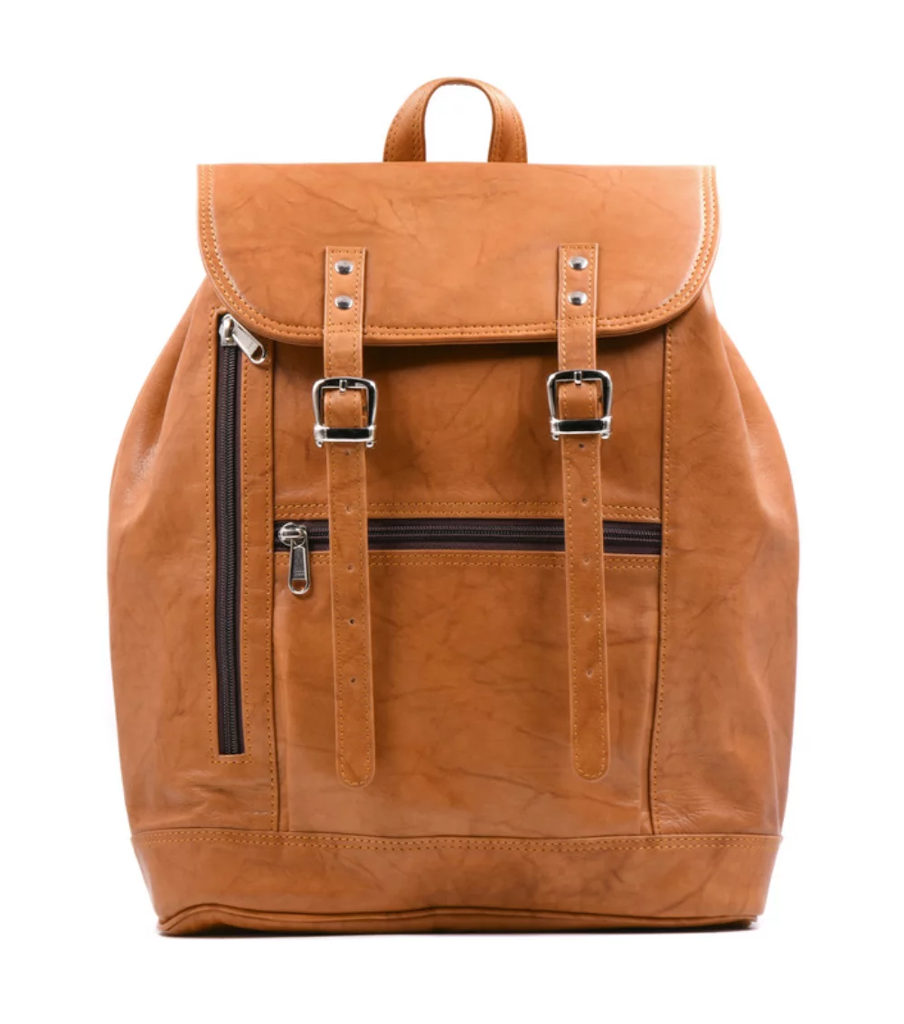 Ashlin® Designer Jessy Zippered Compartment British Tan Backpack
