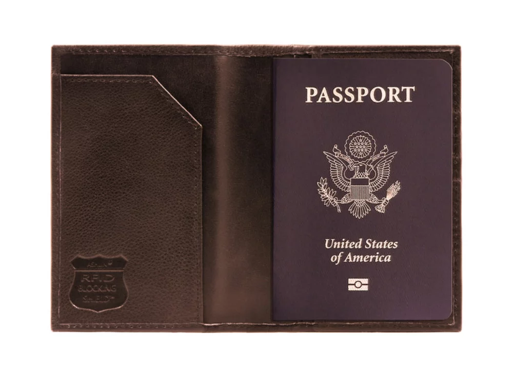 Ashlin® Designer Amsterdam Expresso Brown RFID Blocking Passport Wallet