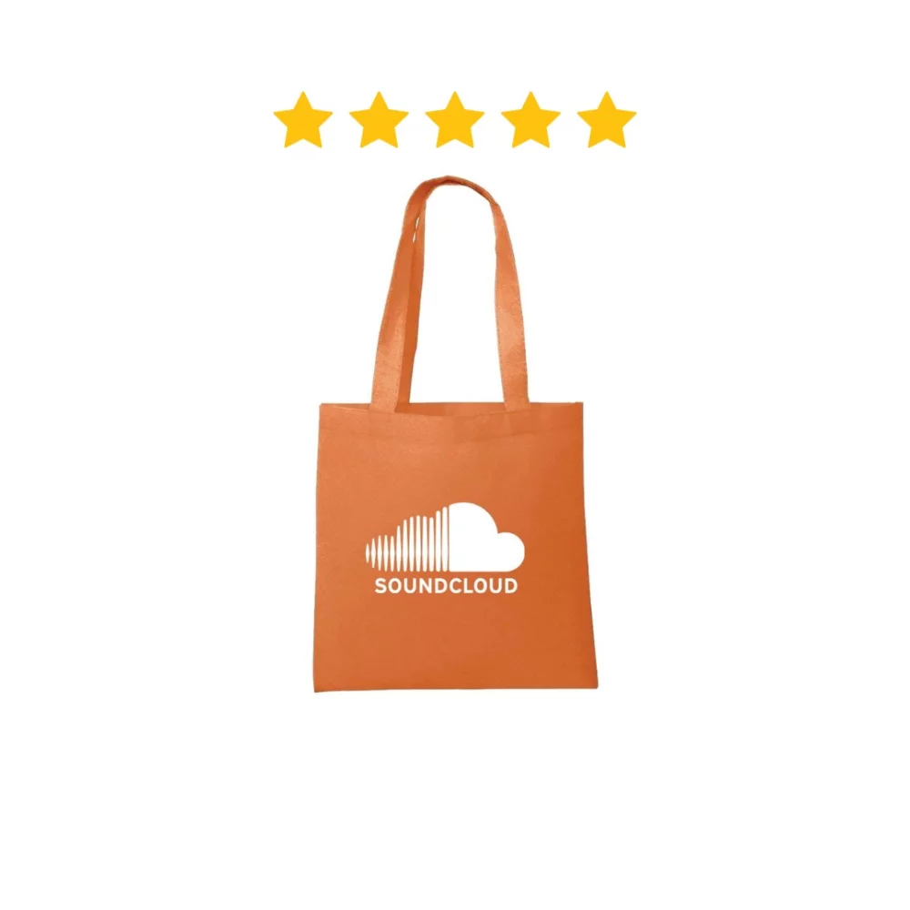 Sac d'épicerie économique