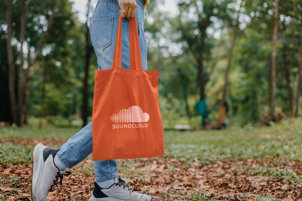 Sac d'épicerie économique