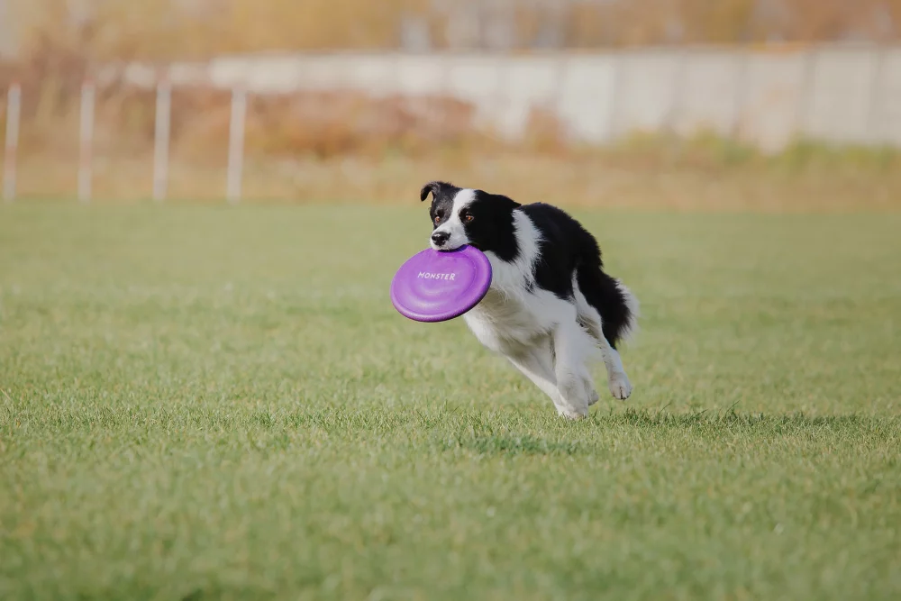 Frisbee personnalisé de 9 pouces