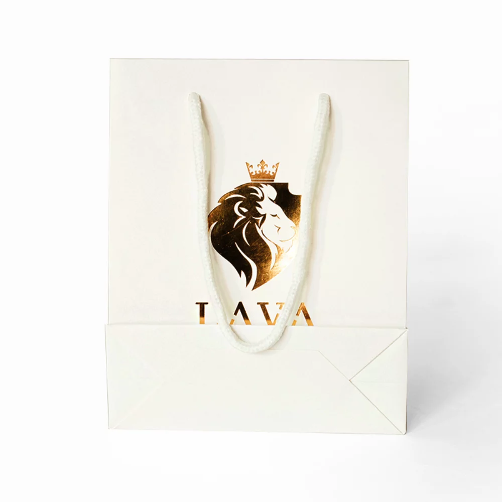 210g C1S paper bag with foil imprint on all sides (10*13*5")