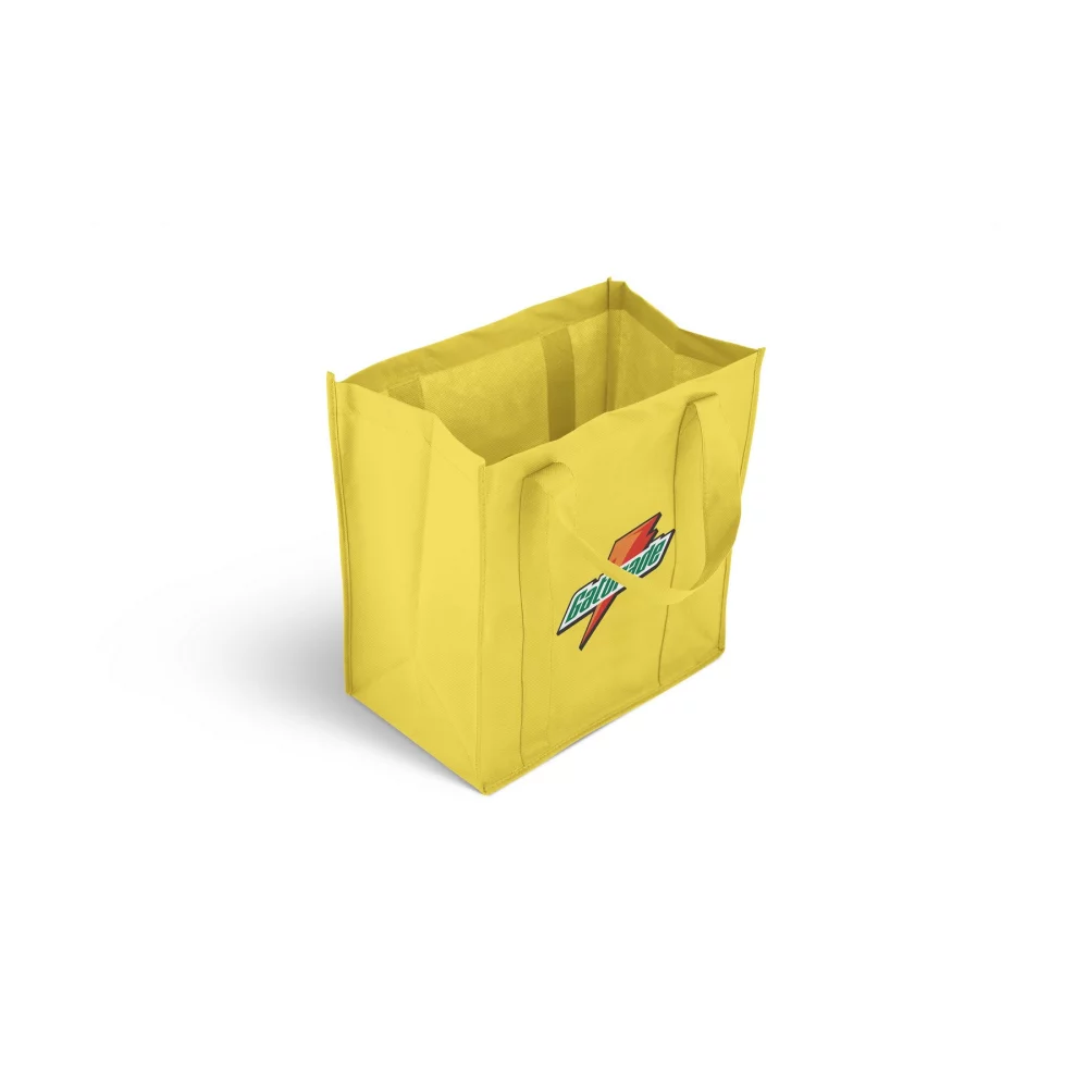 Sac isotherme pour courses de petite taille avec service de livraison express le lendemain